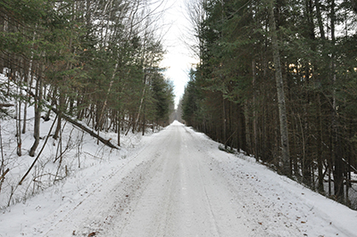 2. Photograph, 9 Mile portage. At each notable sound, the artist recorded the sound in a journal and took a photo using the iPod used to present the sound work in the exhibition.