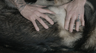 Installation detail, video still: Pelt